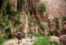 تعرف على أشهر المحميات الطبيعية في الأردن